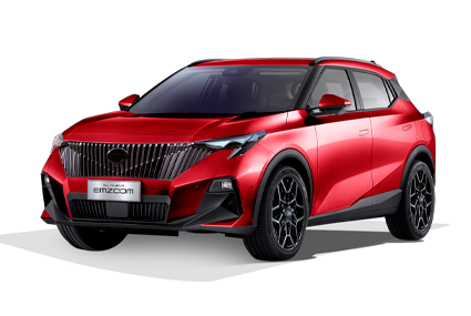 EMZOOM - GAC Torreón in Torreón Coahuila de Zaragoza